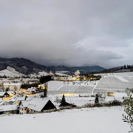 Corner 28 Apartman Oberkirch